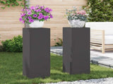 Plant Stand 2 pcs Black 24 x 24 x 75 cm Steel 865820