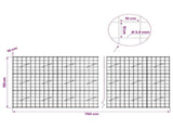 Gabion with 3.5 mm Wire and 10x10 cm Mesh 750x10x150 cm 3463041