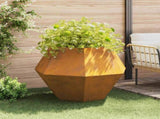 Planter 2 pcs Rusty 100 x 100 x 80 cm Weathering Steel 884037