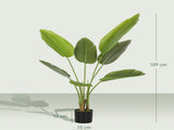 Artificial Plant 00107738