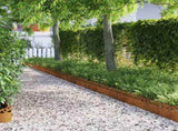 Lawn Edgings 10 pcs Rusty 103 x 0.05 x 22 cm Weathering Steel 874825