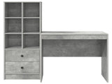 Desk with Drawer with Shelf with Storage 2 pcs Concrete Grey 3337356