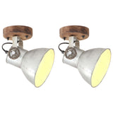 320504 Industrial Wall/Ceiling Lamps 2 pcs Silver 20x25 cm E27