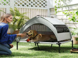 Dog House 17753373