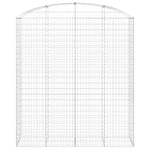 Arched Gabion Basket 200x50x220/240 cm Galvanised Iron 153481