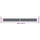 Retractable Side Awning Anthracite 117x1200 cm 318056