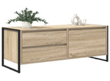 TV Cabinet Sonoma 100 x 36 x 49.5 cm Engineered Wood 886619