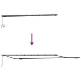 Manual Retractable Awning Brown 600x300 cm 3310221