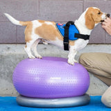 ZNTS FitPAWS Donut Holder 63 cm Grey 433821