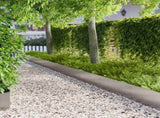 Lawn Edging 30 pcs 100 x 30 cm Steel Silver 8008637