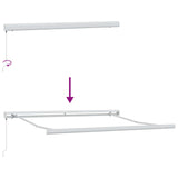 Awning Frame Manual White 300 x 250 cm Aluminium 142577