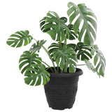Round Flower Pot 24 pcs Black 26 x 21.5 cm Plastic 42020295