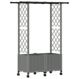 Raised Bed with Trellis and Roof Light Grey 124.5 x 40 x 142 cm 3423032