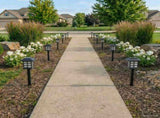 Outdoor Solar Lights with Ground Spike 24 pcs Warm White PP 42042717