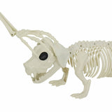 Halloween Decoration Skeleton 2 pcs White Polypropylene 42020050