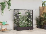 Raised Bed with Trellis and Roof Brown 122.5 x 40 x 123 cm PP 42032515