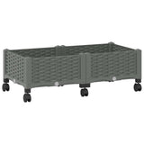 Garden Planter with Wheels Light Grey 80 x 40 x 33 cm PP 3422957