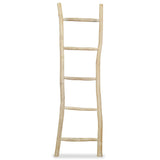 Towel Ladder with 5 Rungs Teak 45x150 cm Natural 244568