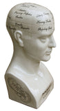 Large Ceramic Phrenology Head 42cm CHA462