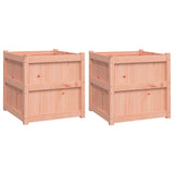 Garden Planters 2 pcs Solid Wood Douglas 837431