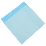 Non-woven Fabric Pet Training Pad 400 pcs Blue and White 42025323