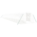 Greenhouse with Steel Frame White 60 m 20x3x2 m 3188058