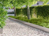 Lawn Edging 10 pcs 103 x 30 cm Steel Silver 8008414