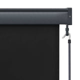 Outdoor Roller Blind 60x250 cm Anthracite 145946