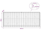 Gabion with 3.5 mm Wire and 10x10 cm Mesh 200x50x100 cm 3463294