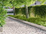 Lawn Edging 20 pcs 103 x 30 cm Steel Silver 8008417