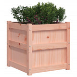 Garden Planters 2 pcs Solid Wood Douglas 837421