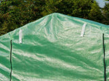 Polytunnel Greenhouse with Windows and Door, Walk in Greenhouse for Garden, Backyard T3398P310873
