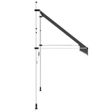 143690 Manual Retractable Awning 300 cm Anthracite