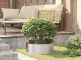 Planter Ring 5 pcs Silver 40 x 40 x 20 cm Stainless Steel 873615
