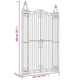 Garden Gate Black 121x8x200 cm Wrought Iron 363434