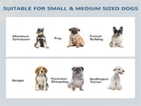 Dog bowls /Pet Feeding Storage 23758509