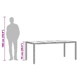 Garden Table Black Poly Rattan, Powder-Coated Steel, Tempered Glass 365592