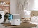 10L/Day 2000ML Portable Quiet Dehumidifier for Home Laundry Room Bedroom Basement, Electric Moisture T3398P378791