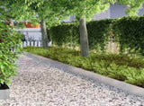 Lawn Edging Silver 450 x 0.05 x 20 cm Stainless Steel 868028