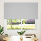 ZNTS Roller Blind Blackout Light Grey 150x150 cm Fabric Width 146.6 cm Polyester 4011398