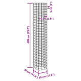 Gabion Raised Beds 3 pcs 30x30x200 cm Iron 151251