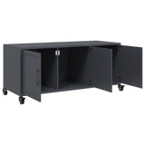 TV Cabinet Anthracite 100.5x39x43.5 cm Steel 846646