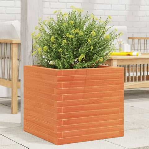 ZNTS Garden Planter Wax Brown 50x50x46 cm Solid Wood Pine 3282406
