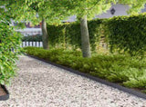 Lawn Edging 20 pcs 100 x 12 cm Steel Anthracite 8008527