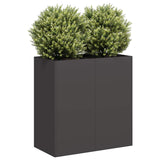 Planter Black 80x40x80 cm Cold-rolled Steel 860710