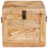 Storage Box with Storage with Door Brown Solid Mango Wood 4104569