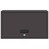 Wall Cabinet for Garage with Gas-lift Door Black 883280