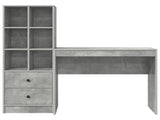 Desk with Drawer with Shelf with Storage 2 pcs Concrete Grey 3337324