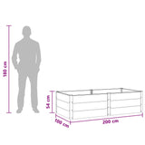 Garden Raised Bed Brown 200 x 100 x 54 cm 42039006