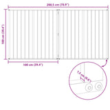 Dog Gate 2 pcs Black 100 x 100 cm Galvanised Steel 891989